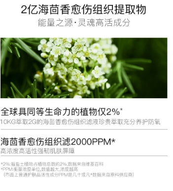 8-B-c-00005